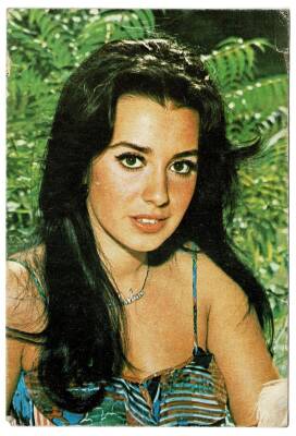 Perihan Savaş Kartpostal (Küçük Boy) KRT8477 - 1