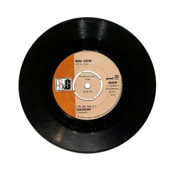 Bob Azam - Each Night / Üsküdar PLAK (10/7) PLK25822 - Gökçekoleksiyon