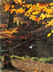 Pirelli Aylık Mecmua Sayı266 Kasım 1986 - Sylvester Stalloneden Üç Oscarlı Rocky, Modugno Aşık, Christopher Lambert Tarzan, Selma Güneri NDR69183 - Gökçekoleksiyon