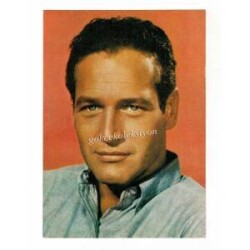 P.Newman Kartpostal KRT3624 - Gökçekoleksiyon