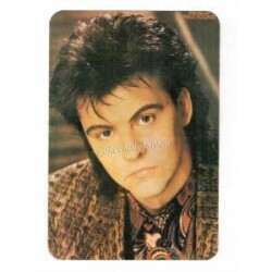 Poul Young Kartpostal KRT3641 - Gökçekoleksiyon