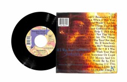 Prince - If I Was Your Girlfriend Shockadelica PLAK (109) PLK18869 - 2