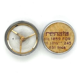 Renata Komple Balans UT 245 431 İNCA Kullanılmamış Kutusunda - EBY053 - Gökçekoleksiyon