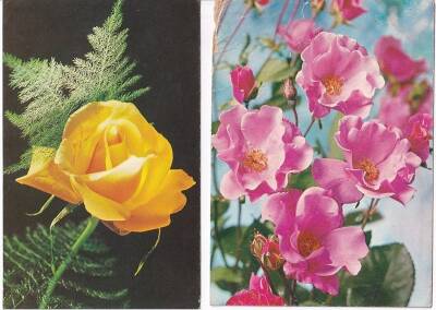 Renkli Çiçekler 2li Kartpostal KRT10418 - 1