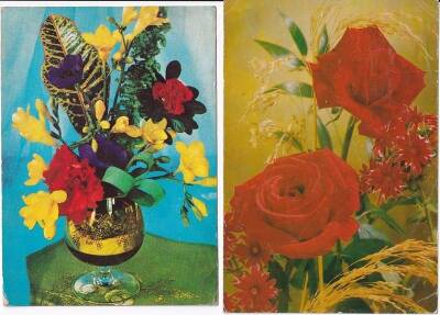 Renkli Güller 2li Kartpostal KRT10421 - 1