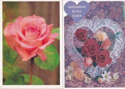 Renkli Güller Bayram Kutlama 2li Kartpostal KRT10413 - 1