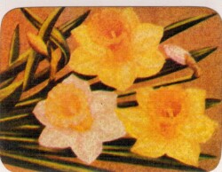 Retro Çiçek Sticker AKS1532 - Gökçekoleksiyon