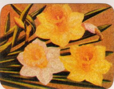 Retro Çiçek Sticker AKS1532 - 2