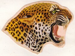 Retro Çita Sticker AKS1525 - Gökçekoleksiyon