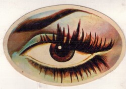 Retro Kahve Göz Sticker AKS1537 - 2