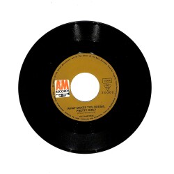 The Sandpipers - Guantanamera / What Makes You Dream, Pretty Girl? PLAK (10/8) PLK25787 - Gökçekoleksiyon