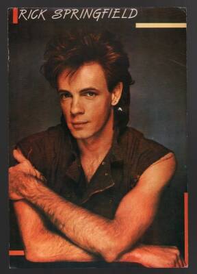 Rick Springfield Büyükboy Kartpostal KRT4963 - 1