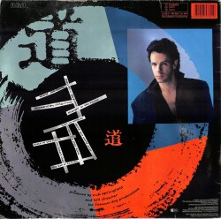 Rick Springfield - Tao (Almanya Baskı) LP PLAK (10/8.5) PLK25965 - 2