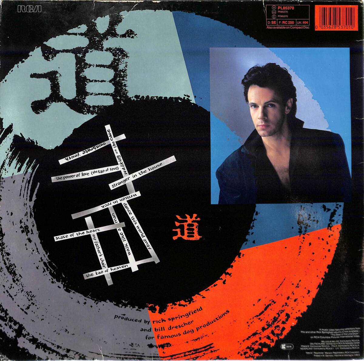 Rick Springfield - Tao (Almanya Baskı) LP PLAK (10/8.5) PLK25965 - 2