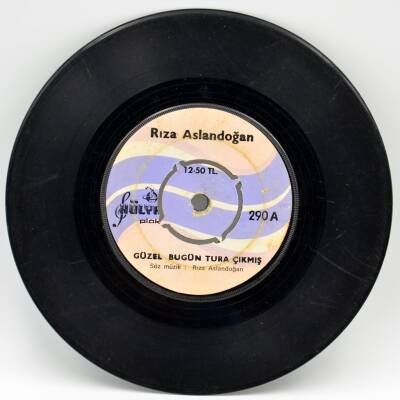 Rıza Aslandoğan - Güzel Bugün Tura Çıkmış PLAK (10/7) PLK2123 - 1