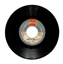 Rıza Konyalı - Dertli Başın Çilesi Cemalim Cemalim (106) PLK566 - 2