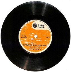 Hayri Şahin - Ağla Gözlerim / Gündüzüm Karışmış Gecelerime PLAK (10/5.5) PLK24877 - Gökçekoleksiyon