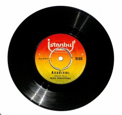 Rıza Pekkutsal - Anadınmı Damdaki Kaynana (107.5) PLK18598 - 1