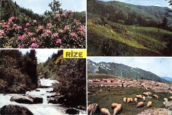 Rize Yaylaları Kartpostal (Küçük Boy) KRT9776 - Gökçekoleksiyon