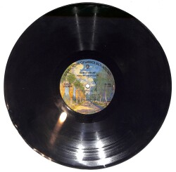 Rod Stewart - Foolish Behaviour LP PLAK (Açıklamayı Okuyunuz) PLK26621 - 1