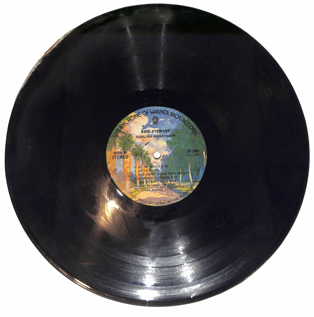 Rod Stewart - Foolish Behaviour LP PLAK (Açıklamayı Okuyunuz) PLK26621 - 2
