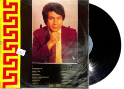 Sadık Altınmeşe - Zalim Dağlar LP Plak (107.5) PLK21922 - 2