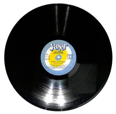 Sadık Altınmeşe - Zalim Dağlar LP Plak (107.5) PLK21922 - 3