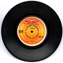 Sadık Sümbül - Vatan Sağolsun (108.5) PLK6276 - 1