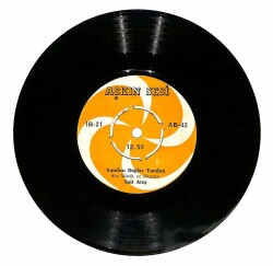 Sait Ateş - Felek İle Şu Cihanı Bölüştük Yandım Dağlar Yandım Plak (107.5) PLK20309 - 2