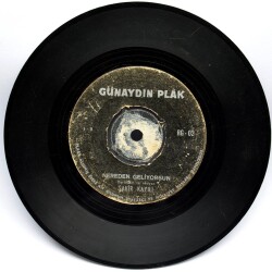 Şakir Kayılı - Göçebe Kuşlar Gibi (106.5) PLK6359 - 2