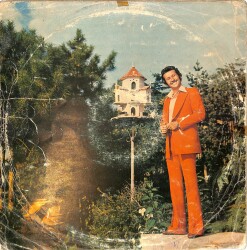 Şakir Öner Gürhan - Dostum Dostum LP PLAK (10/6.5) PLK26508 - 2