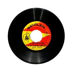 Nefise Özdemir - Evlerinin Önü Tahta Araba / Cevizin Yaprağı Dal Arasında PLAK (10/7) PLK25748 - Gökçekoleksiyon