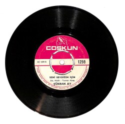 Şükran Ay - Benim Ne Günahım Var / Seni Sevdiğim İçin PLAK (10/7) PLK24759 - Gökçekoleksiyon