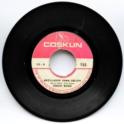 Sebahat Bozdağ - Varsın Desinler Kızılbaş (107) PLK5730 - 2