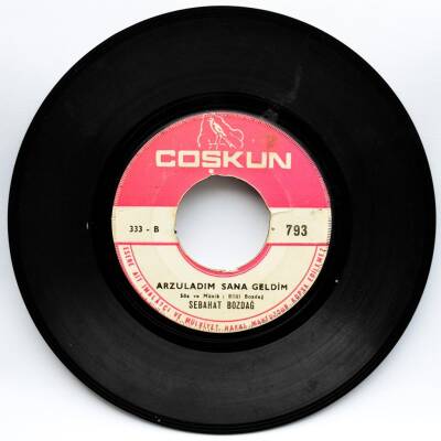 Sebahat Bozdağ - Varsın Desinler Kızılbaş (107) PLK5730 - 2
