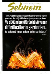 ŞEBNEM KADIN VE AİLE DERGİSİ SAYI148 HAZİRAN 2017 KTP3289 - Gökçekoleksiyon