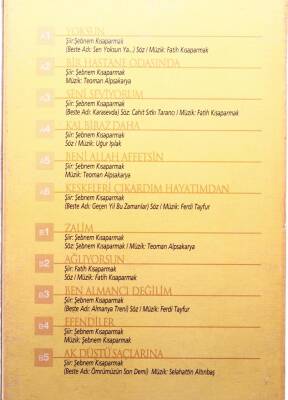 Şebnem Kısaparmak *Bir Şiirdi Yokluğun *Kitapçıklı* KST12904 - 2