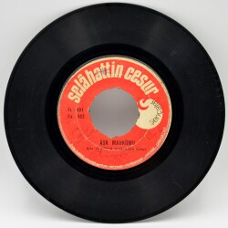 Selahattin Cesur - Aşk Mahkumu (Y)PLK2050 - 2