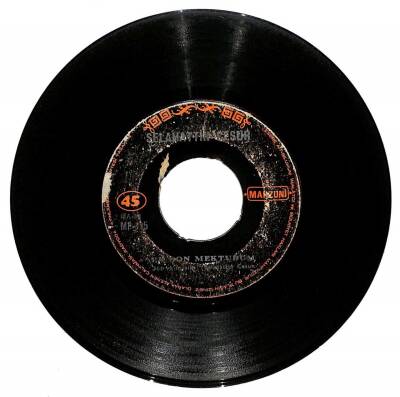 Selahattin Cesur - Bir Kadeh Şaraba Düştüm / En Son Mektubum PLAK (10/5.5) PLK12775 - 2