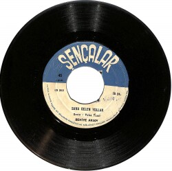 Behiye Aksoy - Beni benden alan (Elveda) / Sana gelen yollar PLAK (10/6) PLK24775 - Gökçekoleksiyon