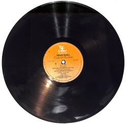 Selami Şahin - Tapılacak Kadınsın LP PLAK (Açıklamayı Okuyunuz) PLK26623 - 2