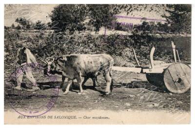 Selanik Çiftçisi Kartpostal 1929 KRT6507 - 1