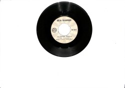 Selma İstanbullu - Sen Aşıksın Arkadaş & Senin Aşkın Yoluna PLAK (10/6.5) PLK26440 - 2