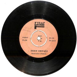 Semiramis Pekkan - Eskisi Gibi Değilim / Dert Ortağım PLAK (10/6.5) PLK26102 - 2