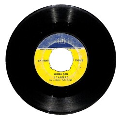 Semra Şan - Güzele Kim Bayılmaz Utanmaz Plak (106) PLK20316 - 2