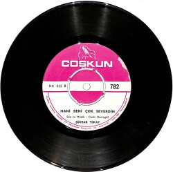 Şükran Tokay - İçimde Kötülük Yok / Hani Beni Çok Severdin Plak (10/8) PLK24913 - Gökçekoleksiyon