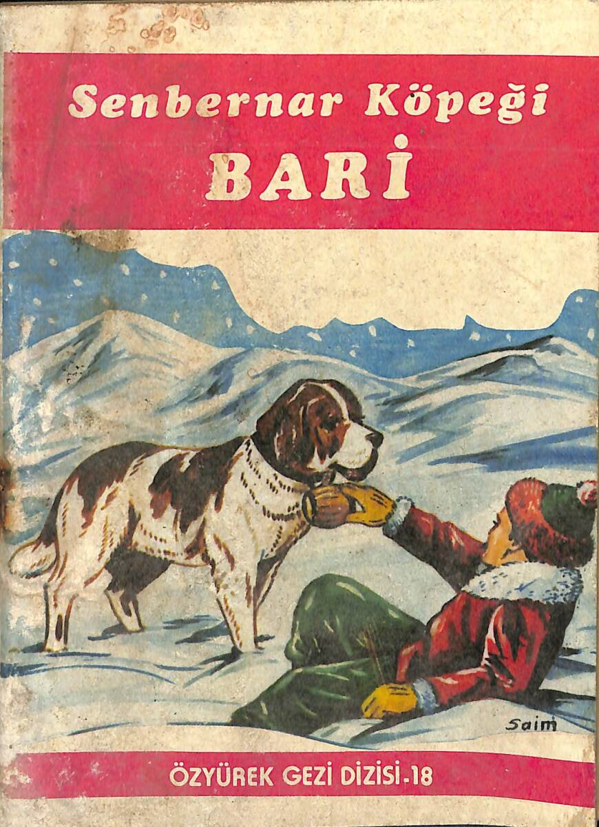 Senbernar Köpeği Bari NDR100162 - 4