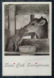 Seni Çok Seviyorum Yazılı Kartpostal KRT2579 - Gökçekoleksiyon