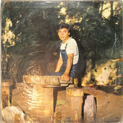 Seracettin Erman - Tahta Masa LP PLAK (10/6.5) (VG++) PLK26478 - 2
