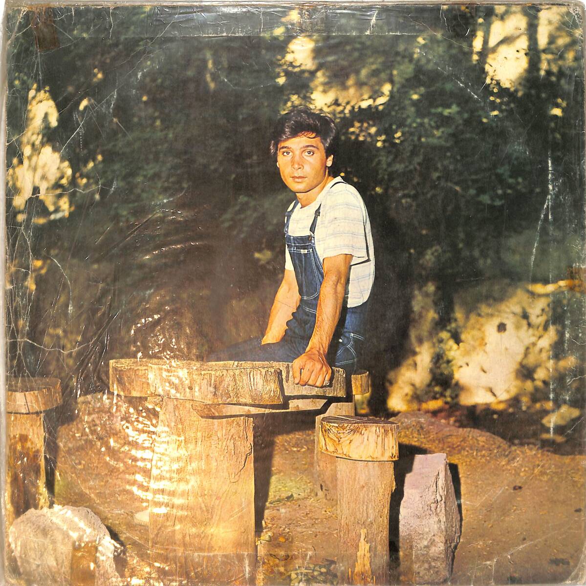 Seracettin Erman - Tahta Masa LP PLAK (10/6.5) (VG++) PLK26478 - 2